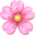 🌸