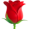 🌹