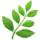 🌿