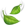 🍃